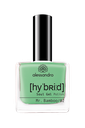 Mr. Bamboo -hybridilakka 8 ml