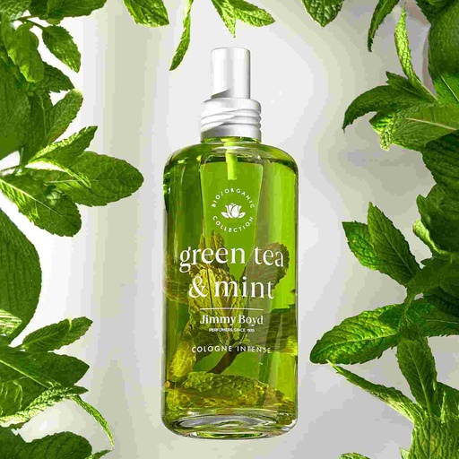 [GTEDC] Green Tea &amp; Mint - tuoksuvesi 200ml