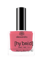 Hurly Burly -hybridilakka 8 ml